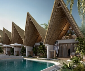 NATURE INVESTMENT GROUP