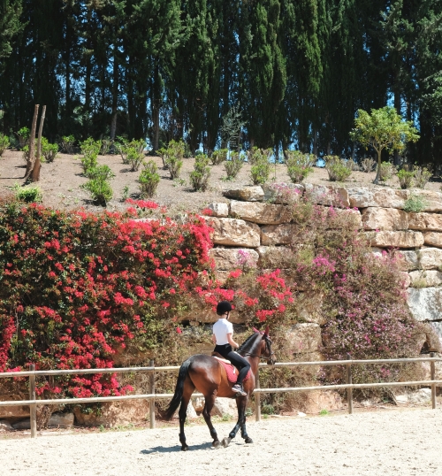 MARBELLA CLUB HILLS - 21