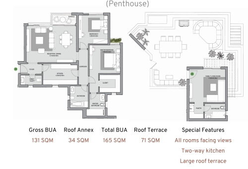 2BR PENTHOUSE - 1