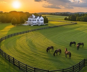 Equestrian