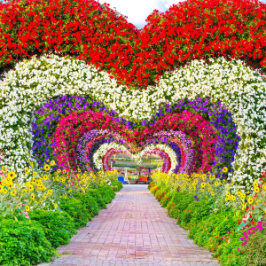 MIRACLE GARDEN