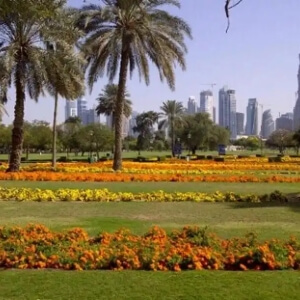 SAFA PARK