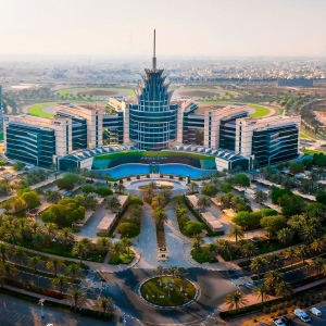 SILICON OASIS